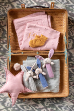 Load image into Gallery viewer, BUNNY RATTLE - PINK